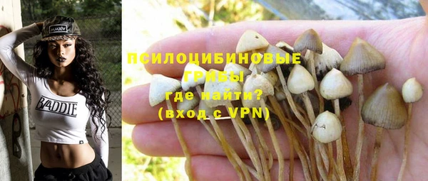 дмт Лиски
